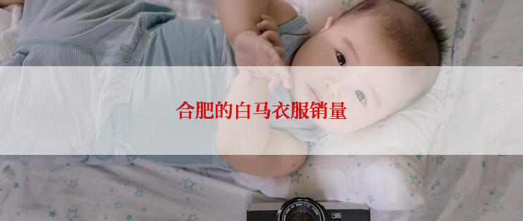 合肥的白马衣服销量