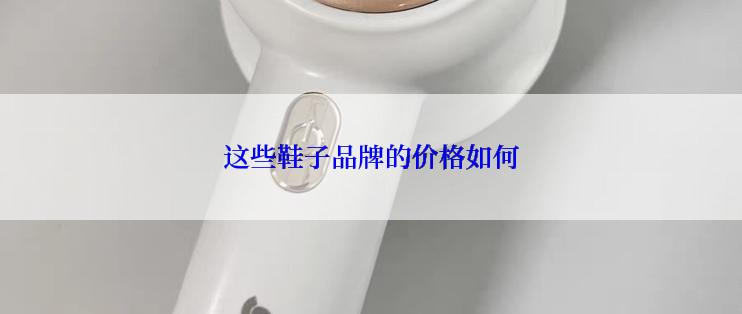 这些鞋子品牌的价格如何