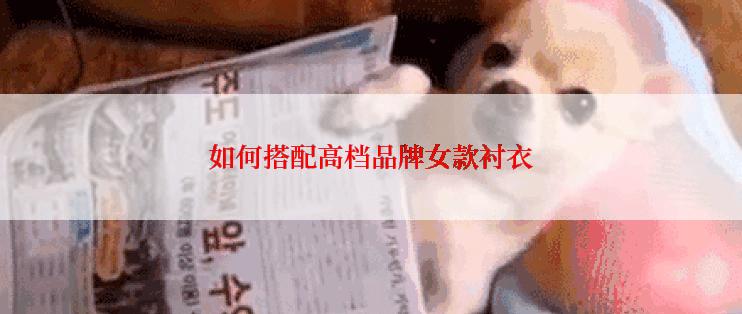 如何搭配高档品牌女款衬衣