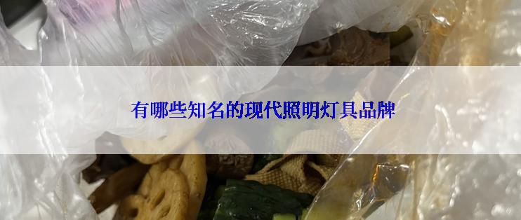  有哪些知名的现代照明灯具品牌