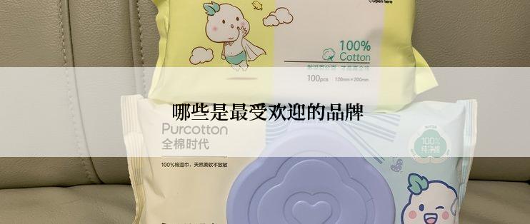  哪些是最受欢迎的品牌