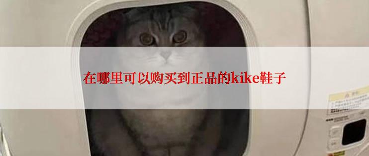 在哪里可以购买到正品的kike鞋子