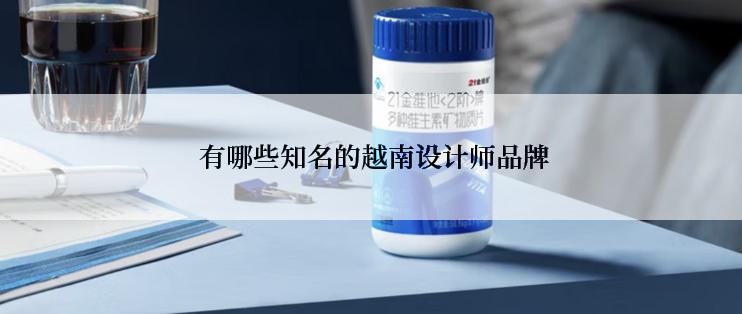  有哪些知名的越南设计师品牌