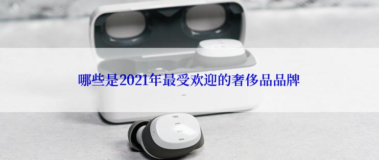 哪些是2021年最受欢迎的奢侈品品牌