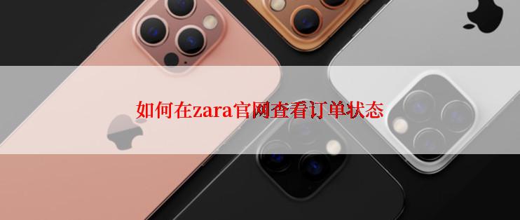 如何在zara官网查看订单状态