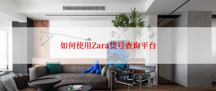 如何使用Zara货号查询平台