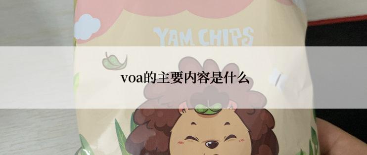  voa的主要内容是什么