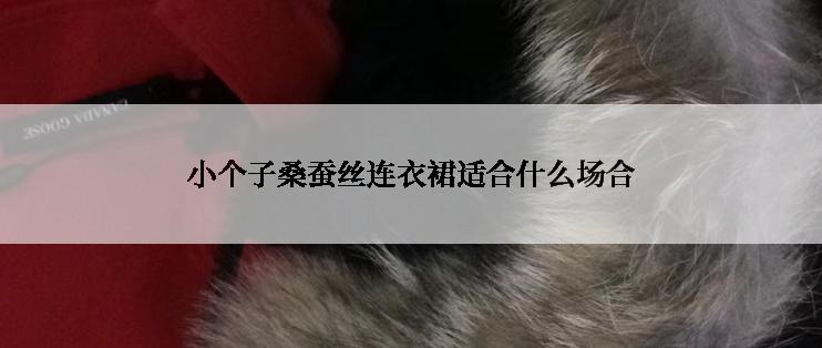 小个子桑蚕丝连衣裙适合什么场合