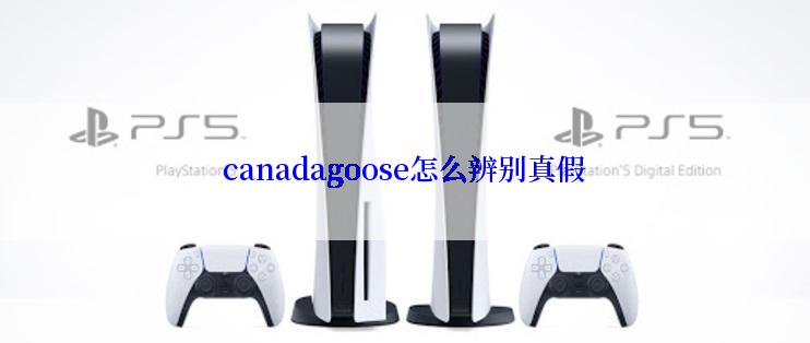 canadagoose怎么辨别真假