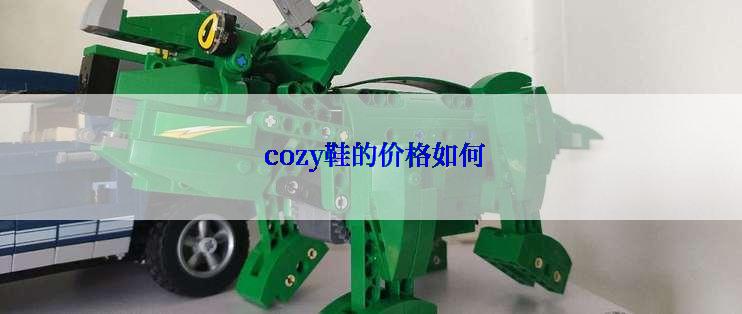  cozy鞋的价格如何