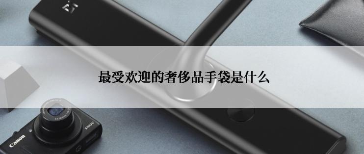  最受欢迎的奢侈品手袋是什么