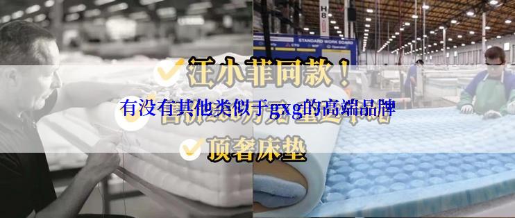 有没有其他类似于gxg的高端品牌