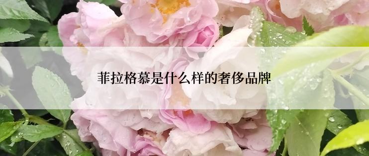 菲拉格慕是什么样的奢侈品牌