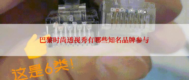 巴黎时尚透视秀有哪些知名品牌参与