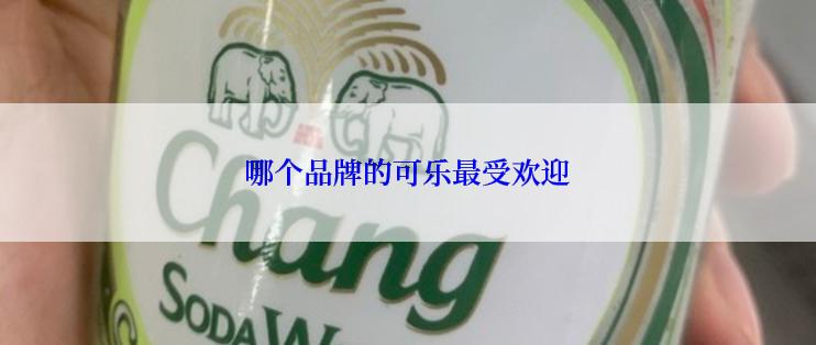 哪个品牌的可乐最受欢迎