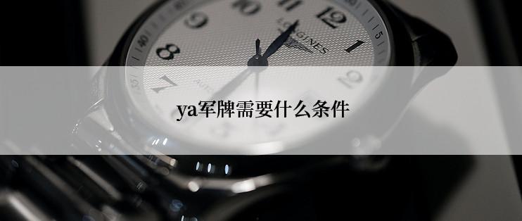  ya军牌需要什么条件