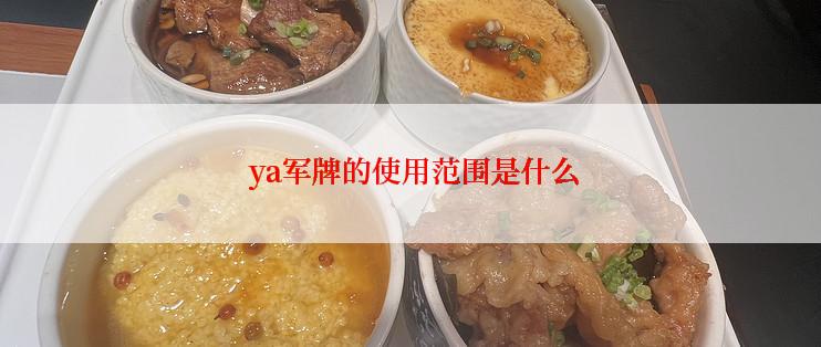  ya军牌的使用范围是什么