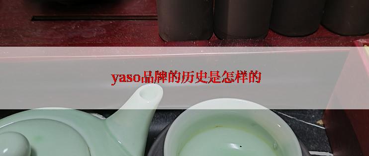  yaso品牌的历史是怎样的