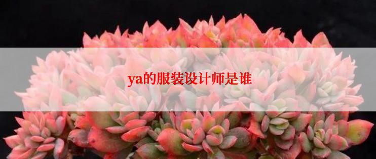  ya的服装设计师是谁