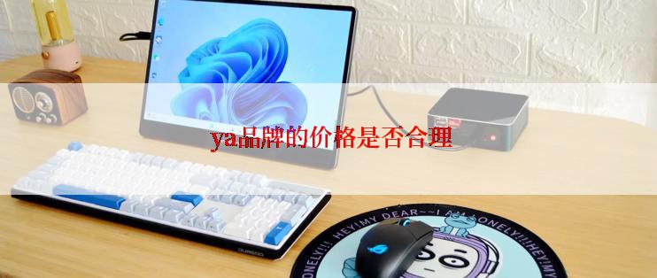  ya品牌的价格是否合理