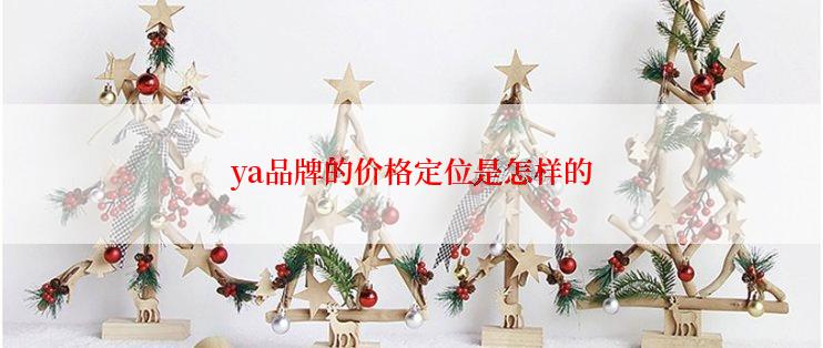 ya品牌的价格定位是怎样的