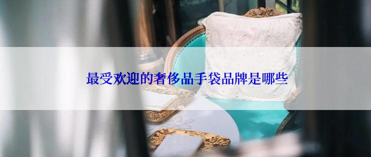  最受欢迎的奢侈品手袋品牌是哪些