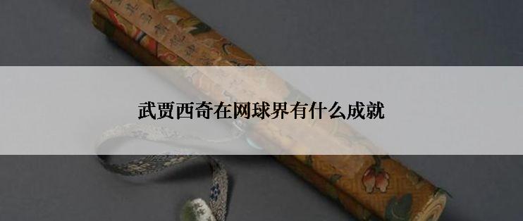 武贾西奇在网球界有什么成就