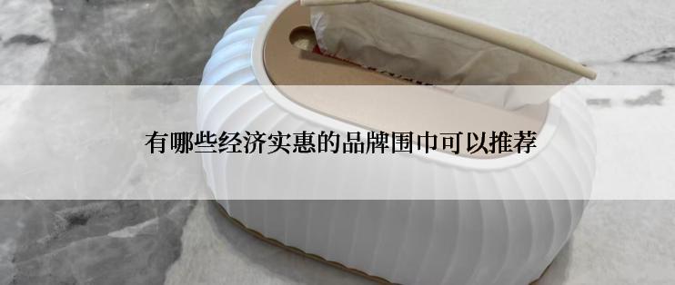  有哪些经济实惠的品牌围巾可以推荐