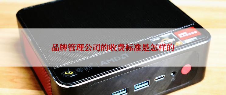 品牌管理公司的收费标准是怎样的