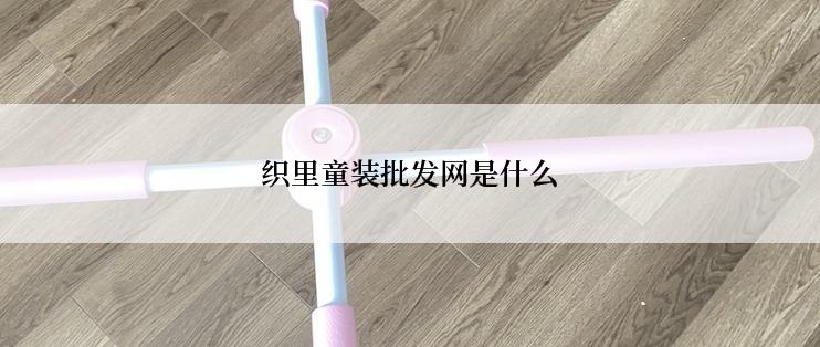 织里童装批发网是什么