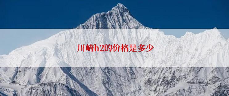  川崎h2的价格是多少