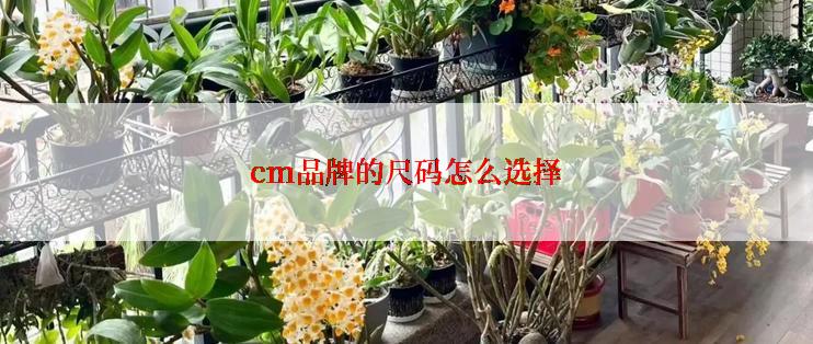 cm品牌的尺码怎么选择