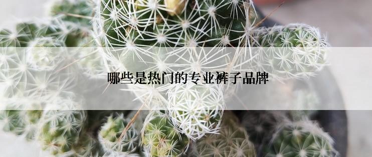  哪些是热门的专业裤子品牌