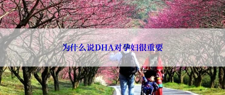 为什么说DHA对孕妇很重要