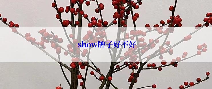  show牌子好不好