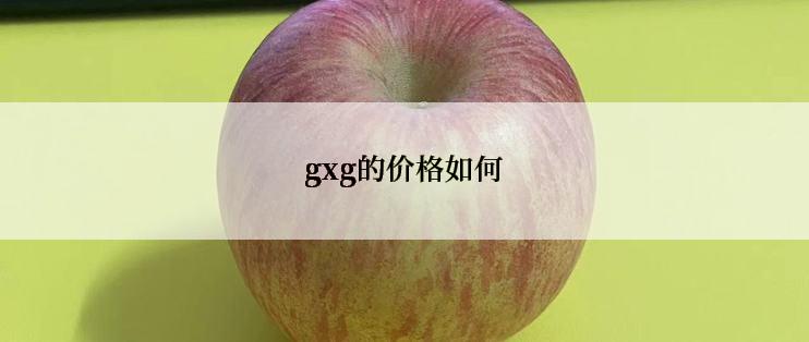 gxg的价格如何