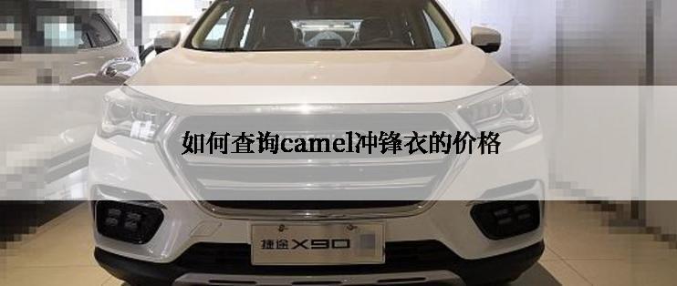  如何查询camel冲锋衣的价格