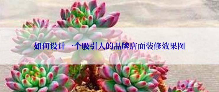 如何设计一个吸引人的品牌店面装修效果图