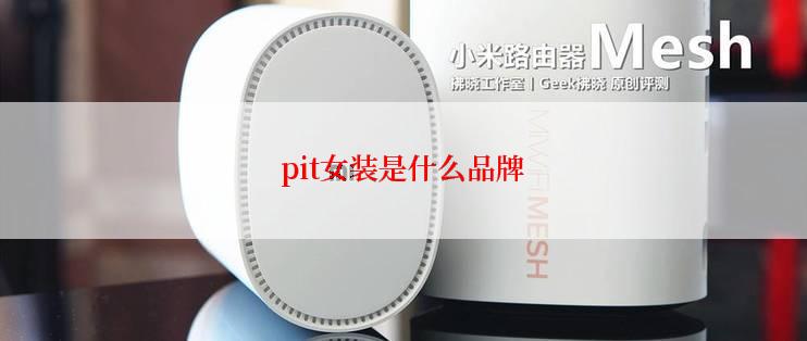 pit女装是什么品牌