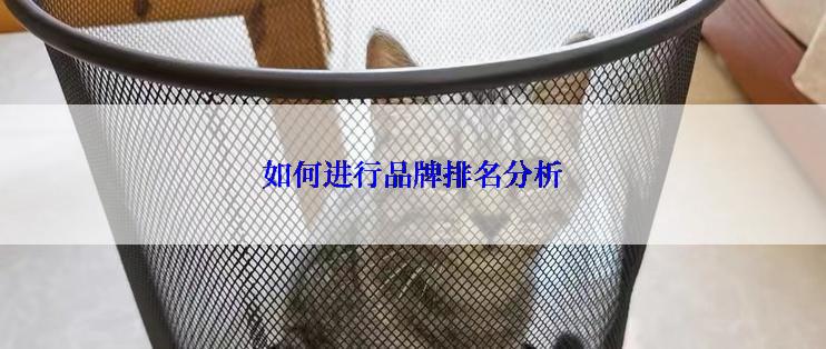 如何进行品牌排名分析