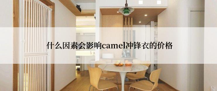  什么因素会影响camel冲锋衣的价格