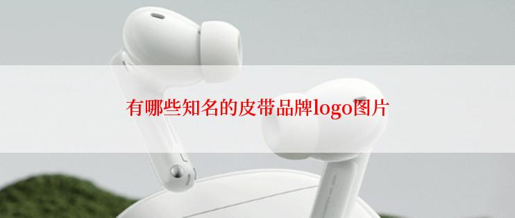 有哪些知名的皮带品牌logo图片