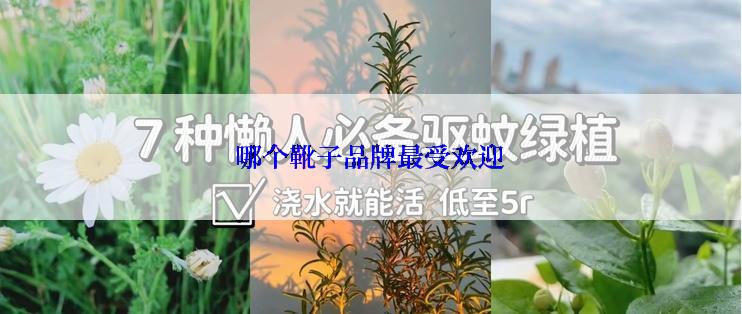 哪个靴子品牌最受欢迎