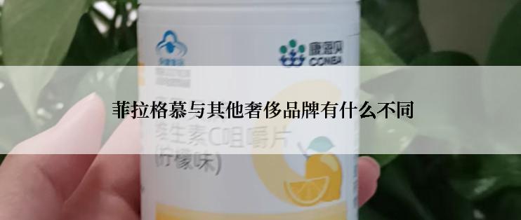  菲拉格慕与其他奢侈品牌有什么不同