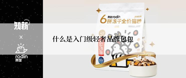 什么是入门级轻奢品牌包包