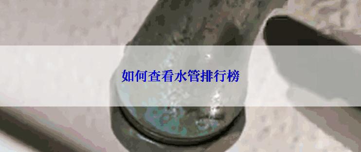 如何查看水管排行榜