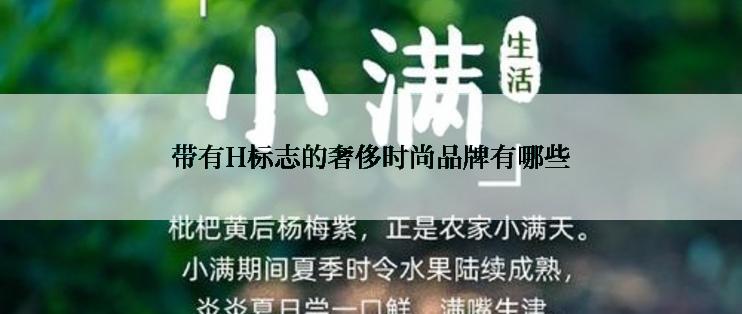 带有H标志的奢侈时尚品牌有哪些