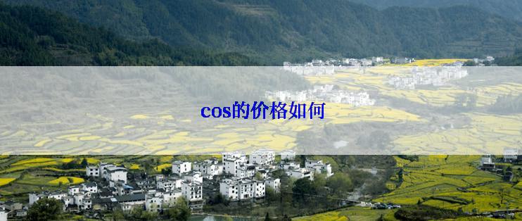  cos的价格如何