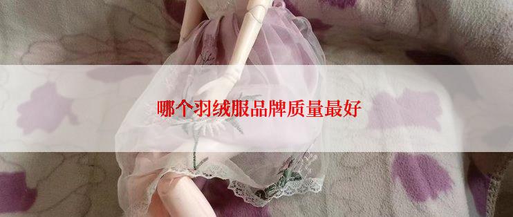  哪个羽绒服品牌质量最好