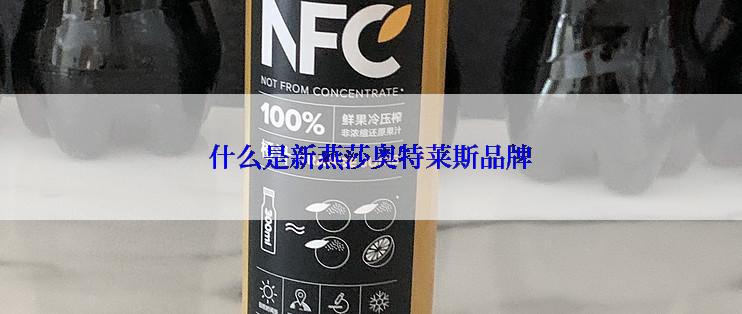 什么是新燕莎奥特莱斯品牌